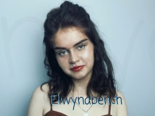 Elwynabench