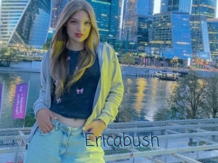 Ericabush