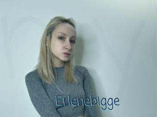Erlenebigge