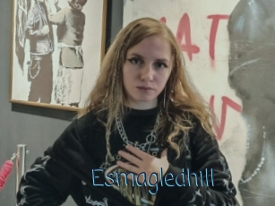 Esmagledhill