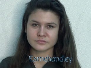 Esmehandley