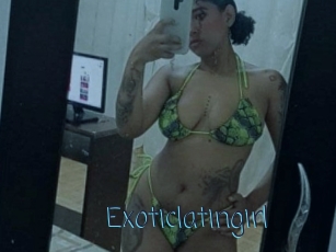 Exoticlatingirl