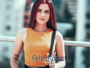FelicityBarn
