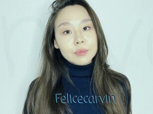 Felicecarvin