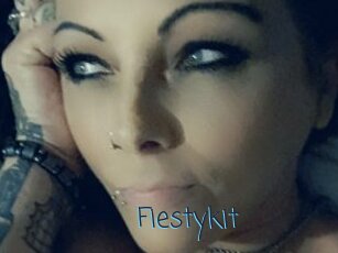 Fiestykit