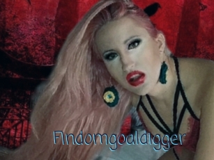 Findomgoaldigger