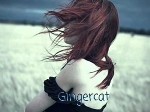 Gingercat