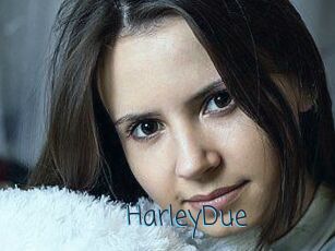 Harley_Due