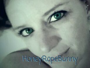 HoneyRopeBunny