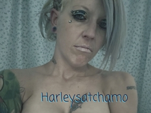 Harleysatchamo