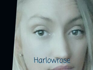 Harlowrose