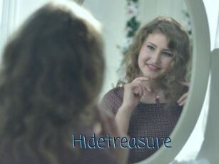 Hidetreasure