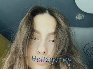 Hollisgarney