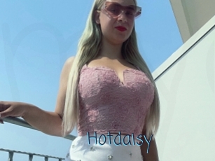 Hotdaisy
