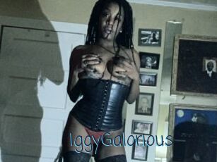 IggyGalorious
