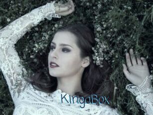 KingaBox