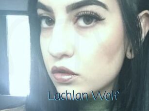 Lachlan_Wolf