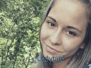 Ladybird