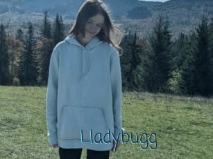 Lladybugg