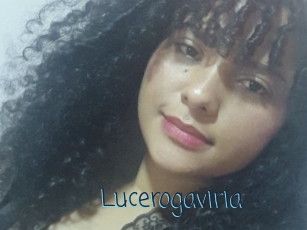 Lucerogaviria