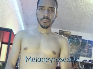 Melaneyrosesub