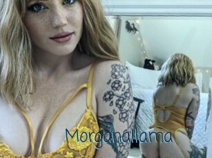 Morganallama