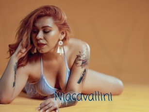 Niacavallini