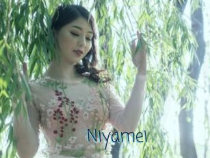 Niyamei