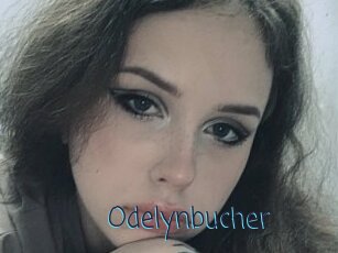 Odelynbucher