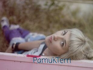 PamukTerri