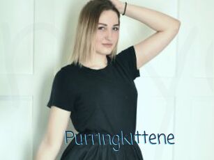 Purringkittene