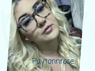 Paytonnrose