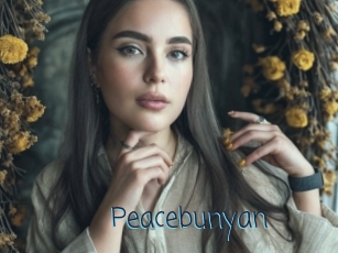 Peacebunyan
