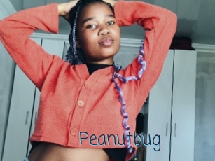 Peanutbug