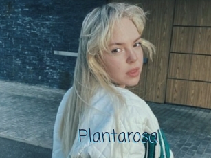 Plantarosa