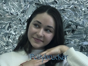 Pollybrucker
