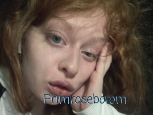 Primroseborom