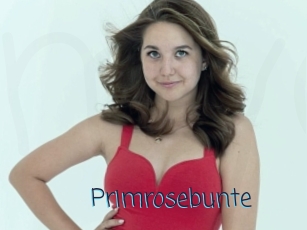 Primrosebunte