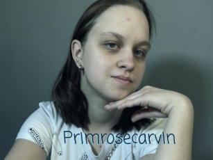 Primrosecarvin