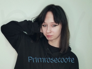 Primrosecoote