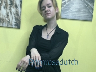 Primrosedutch