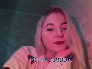primrosegaff My camgirls xxx