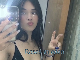 Roses_in_eden
