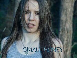 SMALL_HONEY