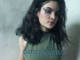 SandyBergman