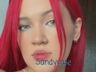 Sandycase