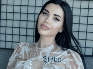 Shibo