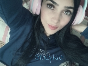 Sindykro