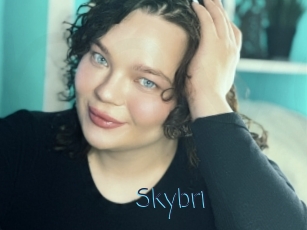 Skybri