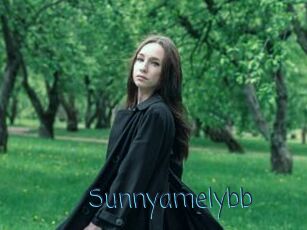 Sunnyamelybb